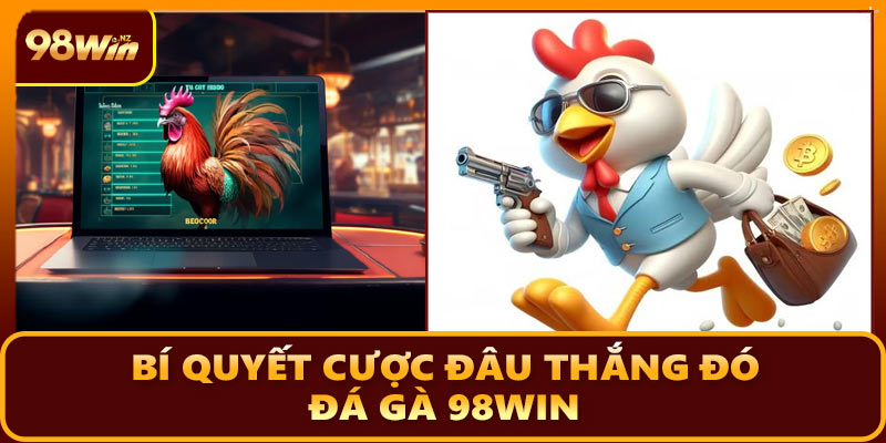 Bí quyết cược đâu thắng đó - Đá gà 98WIN